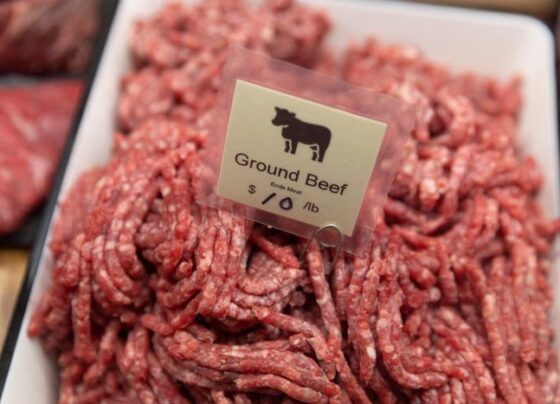 A Cut Above the Rest: Understanding the Recent Beef Recall and Keeping Your Family Safe