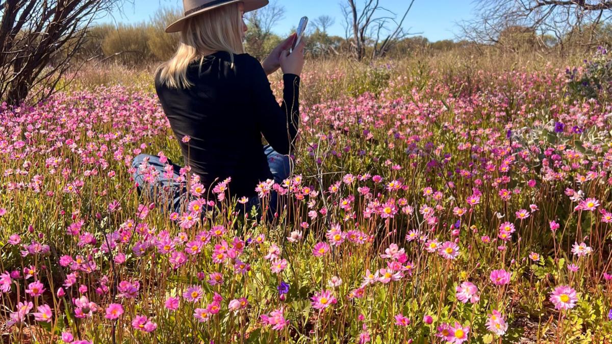 Wild(flower) adventures: Four trip ideas to do this spring