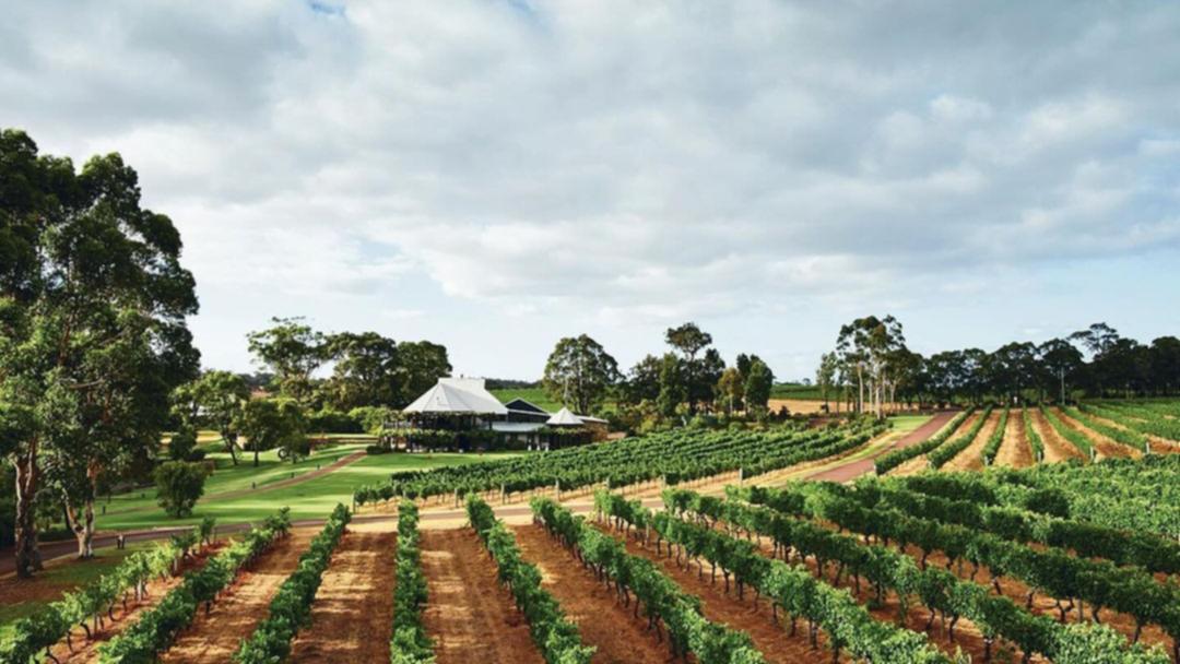 Vasse Felix Margaret River: Favourite South West winery and restaurant temporarily closed for maintenance