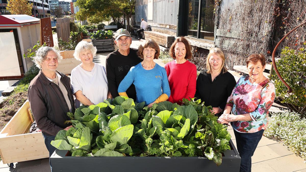 Gardens of WA: Claremont community garden brings those of all ages together