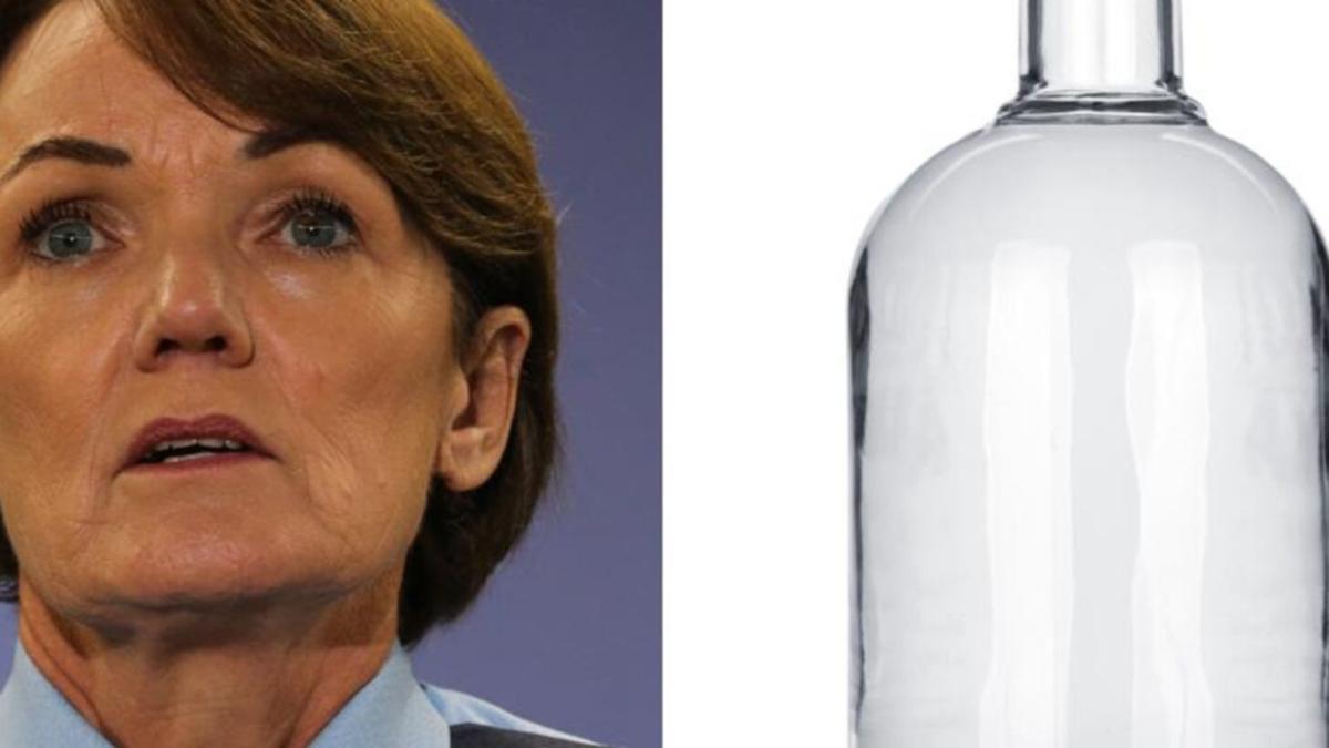 Investigation into NSW Police Commissioner Karen Webb’s alcohol purchases for dignitaries