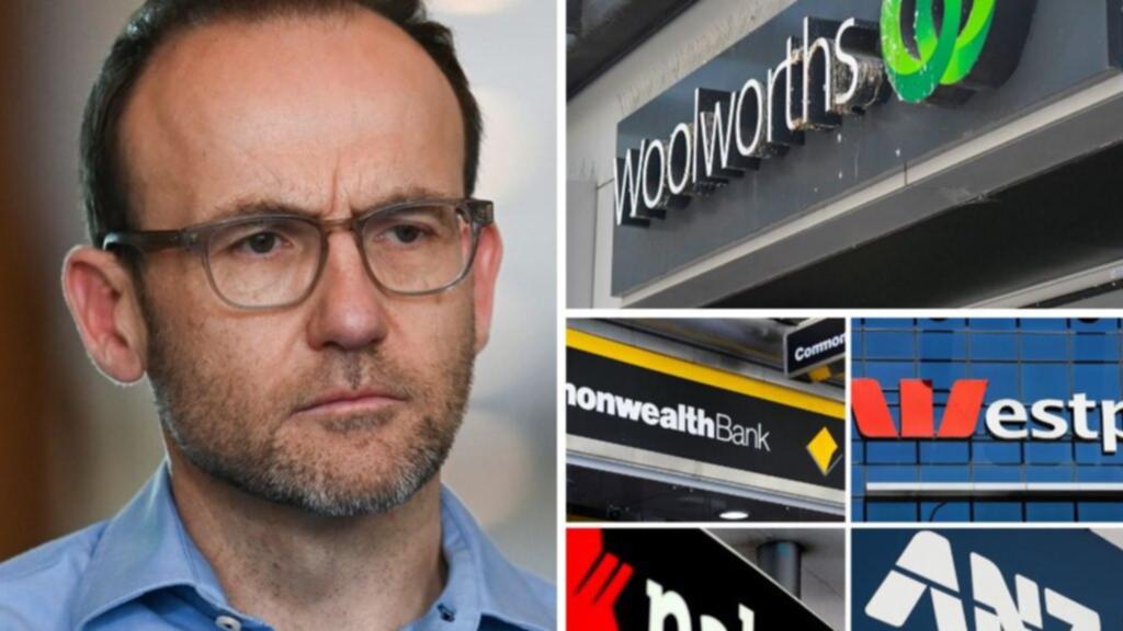 Greens Leader Adam Bandt to announce bid to hit banks, supermarkets with extra tax on profits