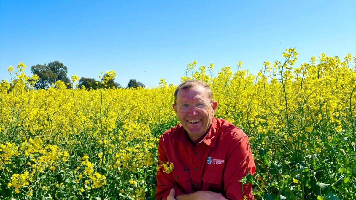 Farmers warn lower quality meat cuts could hit one state after a dry, cold winter has affected crop growth