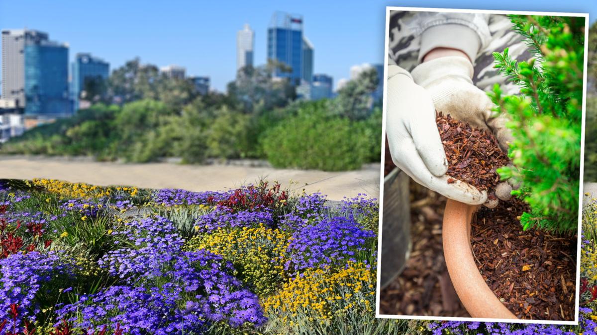 WA Health warn of Legionnaires’ disease while gardening this spring