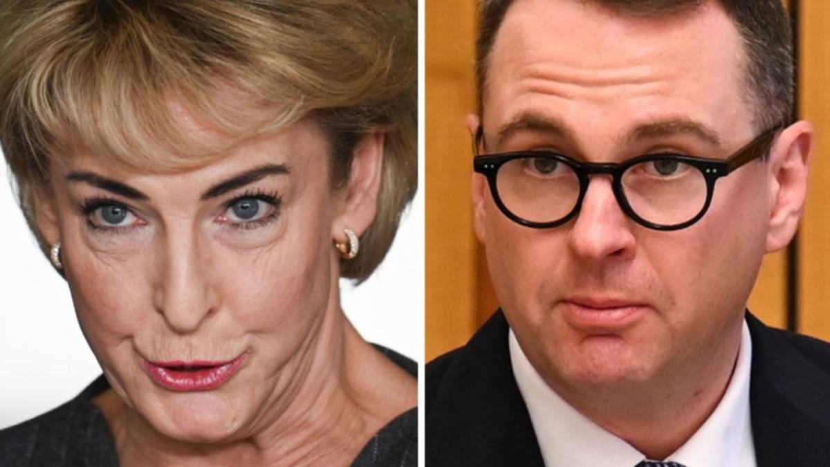 Michaelia Cash rebukes fellow Liberal senator Andrew Bragg for GST comments