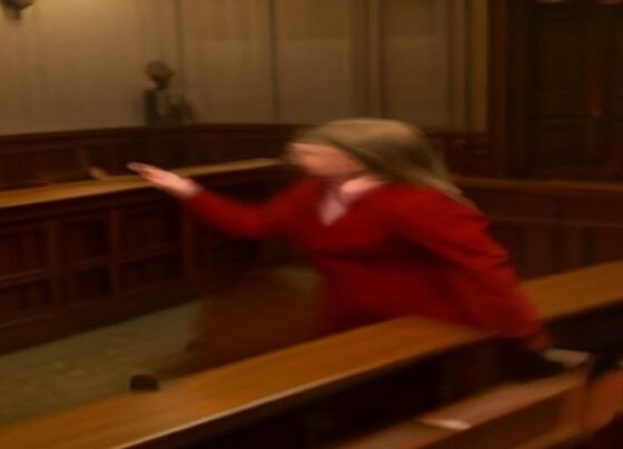 Chaos Erupts in Arizona Courtroom as Relative Lunges at Convicted Killer - Report Photo