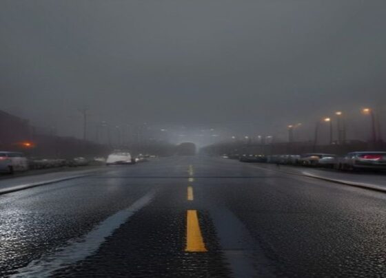 Valley Storm Drenches Phoenix Metro: Rainfall Totals Across Arizona - Report Photo