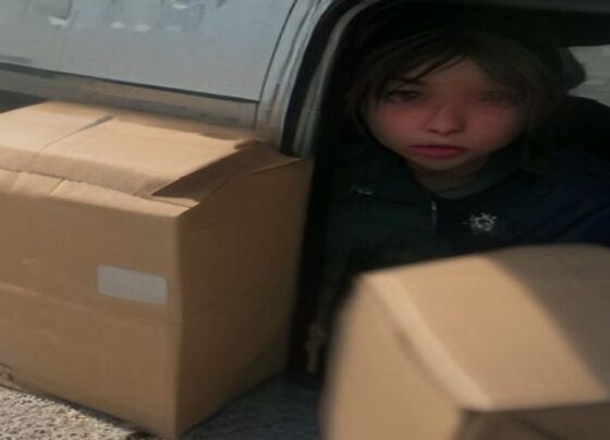 GPS Tracker in Bait Package Leads to Verde Valley Mail Theft Arrest - Report Photo