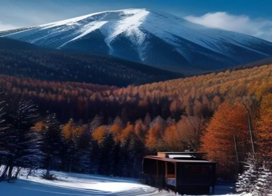 Arizona Snowbowl Begins Daily Autumn Operations for Fall Foliage Season - Report Photo