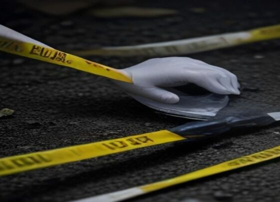 Arizona Cold Case Suspect Dies by Suicide After Providing DNA Sample - Report Photo