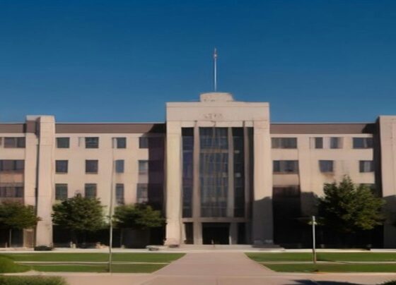 From Small-Town Arizona Roots to Leading a Massive National University - Report Photo
